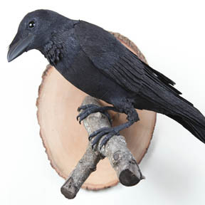 Raven crepe paper bird sculpture by Aimée Baldwin