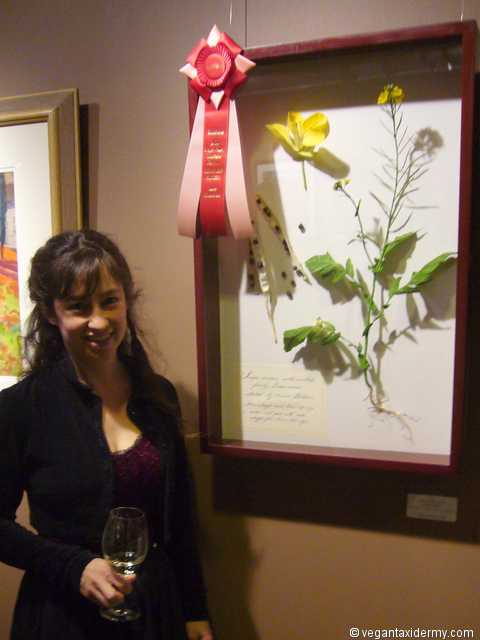 Wild Mustard, Sinapis arvensis, 3-D botanical illustration by Aimée Baldwin