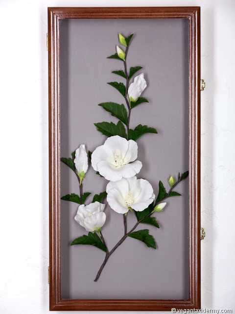 Rose of Sharon (Hibiscus syriacus), 3-D crepe paper sculpture by Aimée Baldwin