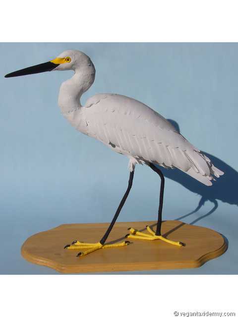 Snowy Egret (Egretta thula), 3-D crepe paper sculpture by Aimée Baldwin